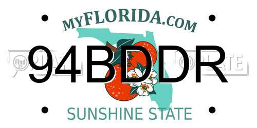 94BDDR Florida License Plate