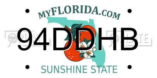 94DDHB Florida License Plate