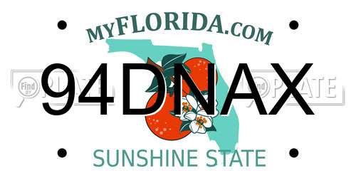 94DNAX Florida License Plate