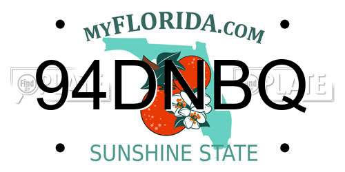 94DNBQ Florida License Plate