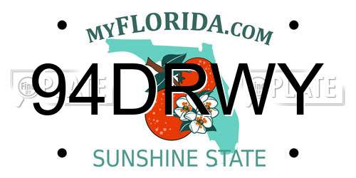 94DRWY Florida License Plate