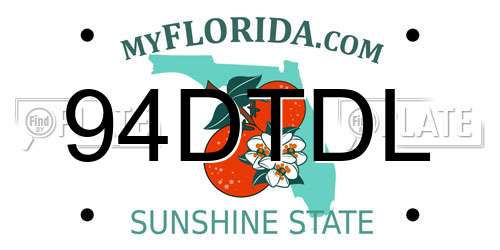 94DTDL Florida License Plate