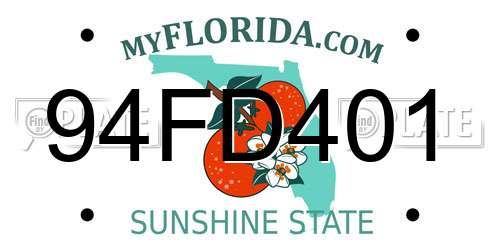 94FD401 Florida License Plate