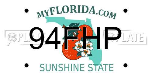 94FHP Florida License Plate