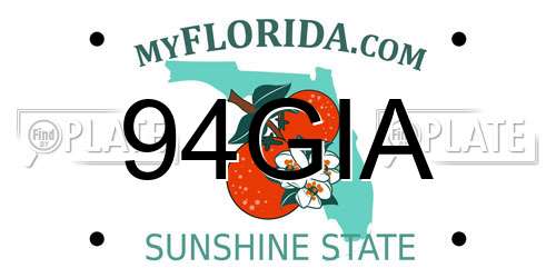 94GIA Florida License Plate