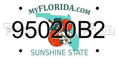95020B2 Florida License Plate