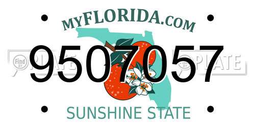 9507057 Florida License Plate