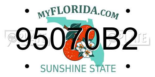 95070B2 Florida License Plate