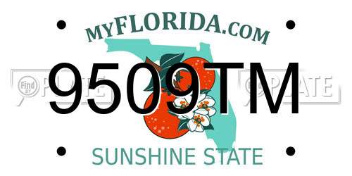 9509TM Florida License Plate