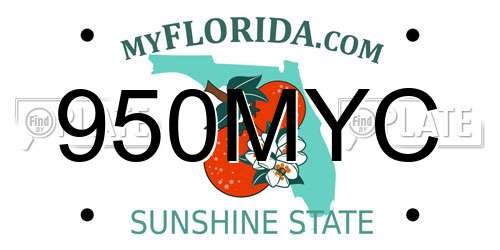 950MYC Florida License Plate