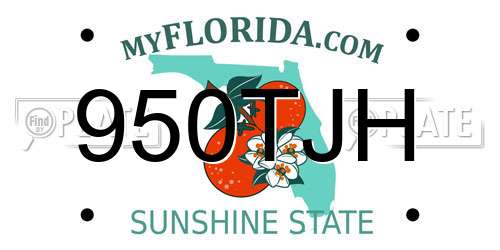 950TJH Florida License Plate