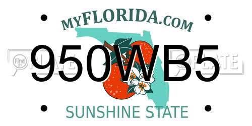 950WB5 Florida License Plate