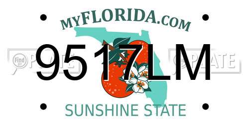 9517LM Florida License Plate