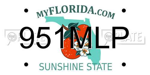 951MLP Florida License Plate