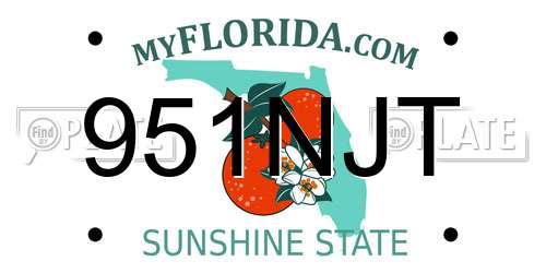 951NJT Florida License Plate
