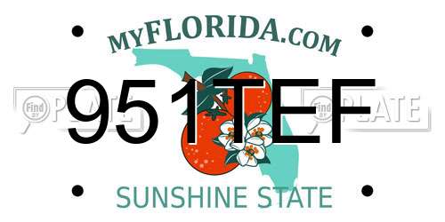 951TEF Florida License Plate