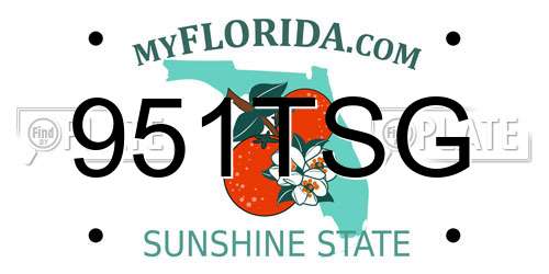 951TSG Florida License Plate