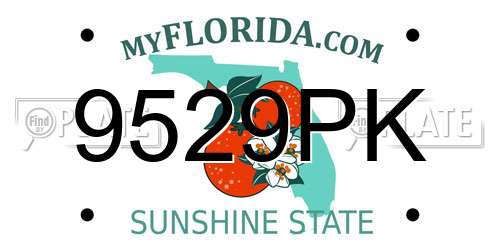 9529PK Florida License Plate