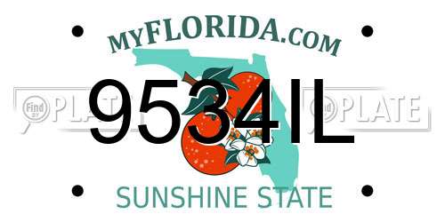 9534IL Florida License Plate
