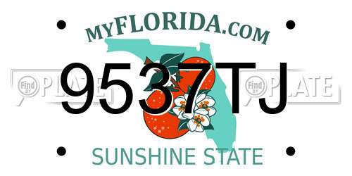 9537TJ Florida License Plate