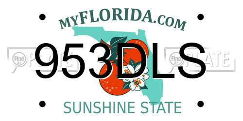 953DLS Florida License Plate