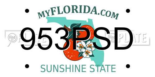 953PSD Florida License Plate