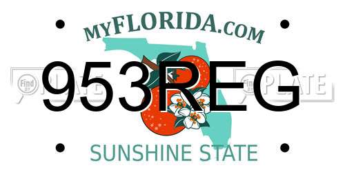 953REG Florida License Plate