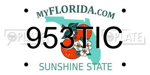 953TIC Florida License Plate
