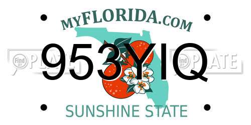 953YIQ Florida License Plate
