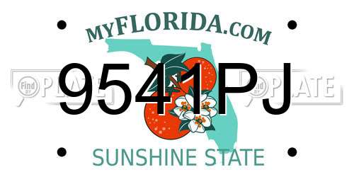 9541PJ Florida License Plate
