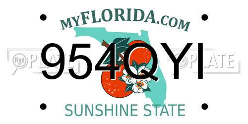 954QYI Florida License Plate