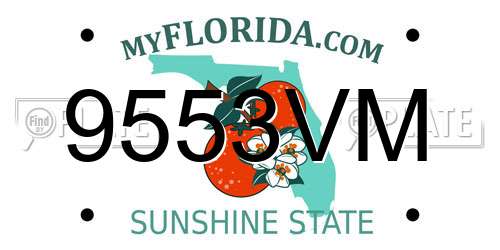 9553VM Florida License Plate