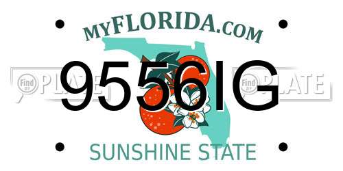 9556IG Florida License Plate