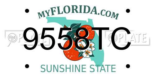 9558TC Florida License Plate