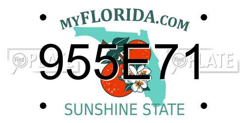 955E71 Florida License Plate