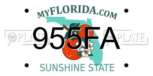 955FA Florida License Plate