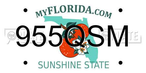 955QSM Florida License Plate