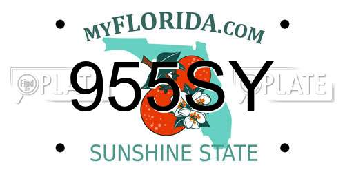 955SY Florida License Plate