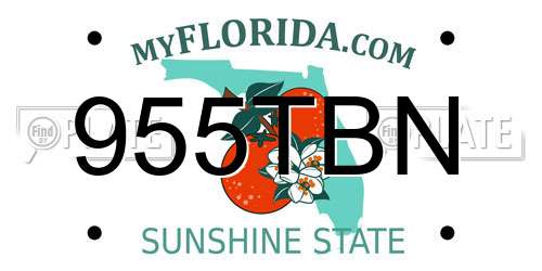 955TBN Florida License Plate