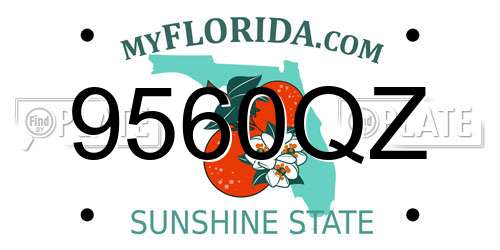 9560QZ Florida License Plate