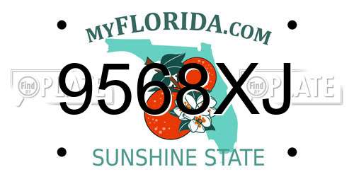 9568XJ Florida License Plate