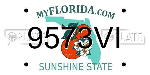 9573VI Florida License Plate