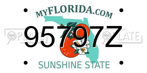 95797Z Florida License Plate