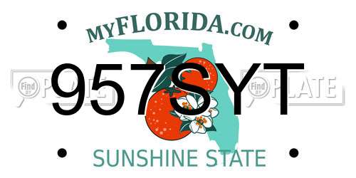 957SYT Florida License Plate