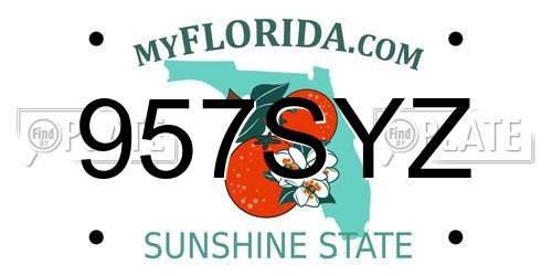 957SYZ Florida License Plate