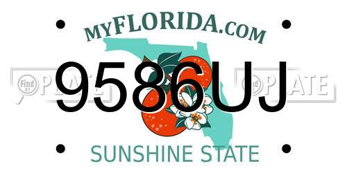 9586UJ Florida License Plate