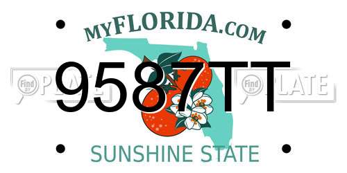 9587TT Florida License Plate