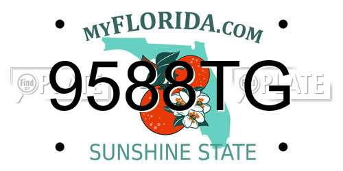 9588TG Florida License Plate