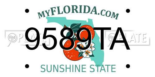 9589TA Florida License Plate