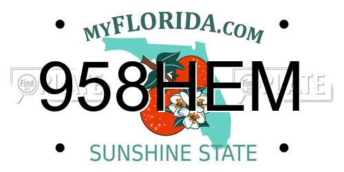 958HEM Florida License Plate